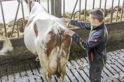 Meest gelezen