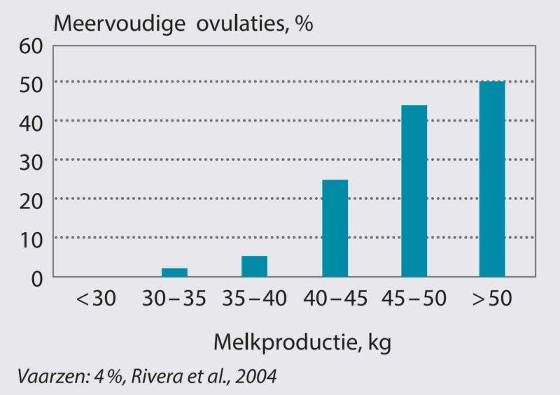 Ongeliefde Tweelingen Elite